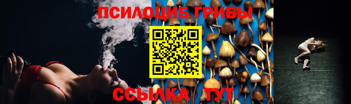 Ростов Великий  Псилоцибиновые грибы Cubensis  Галлюциногенные грибы Psilocybe  Вход с VPN 